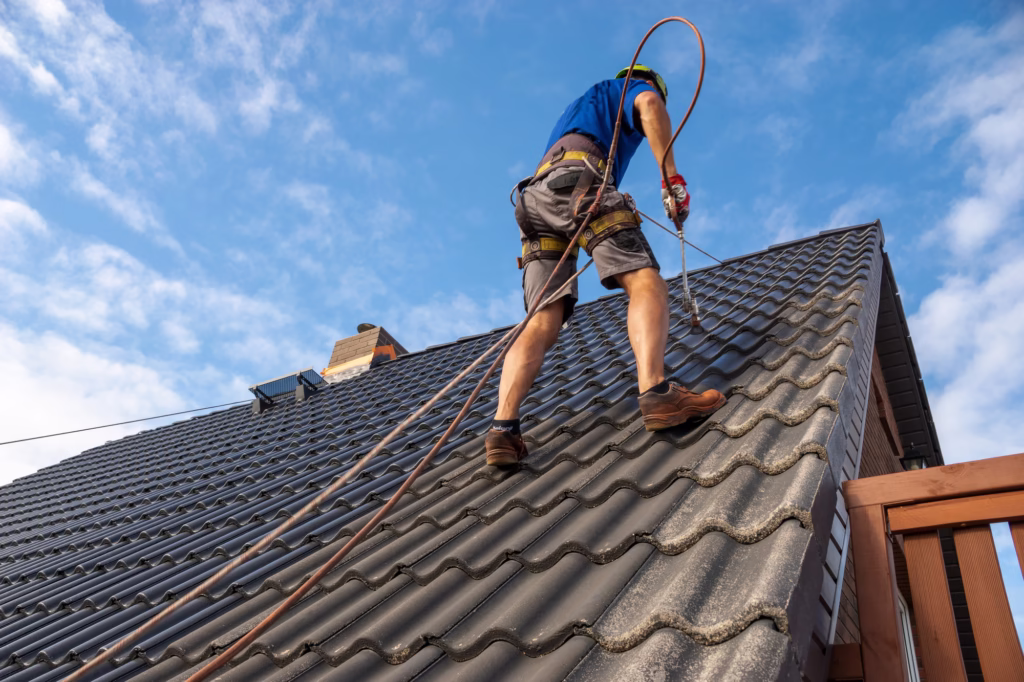 roof painting